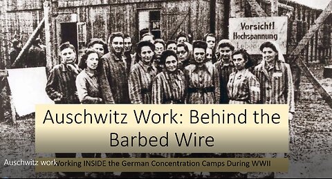 Auschwitz Work: Behind the Barbed Wire