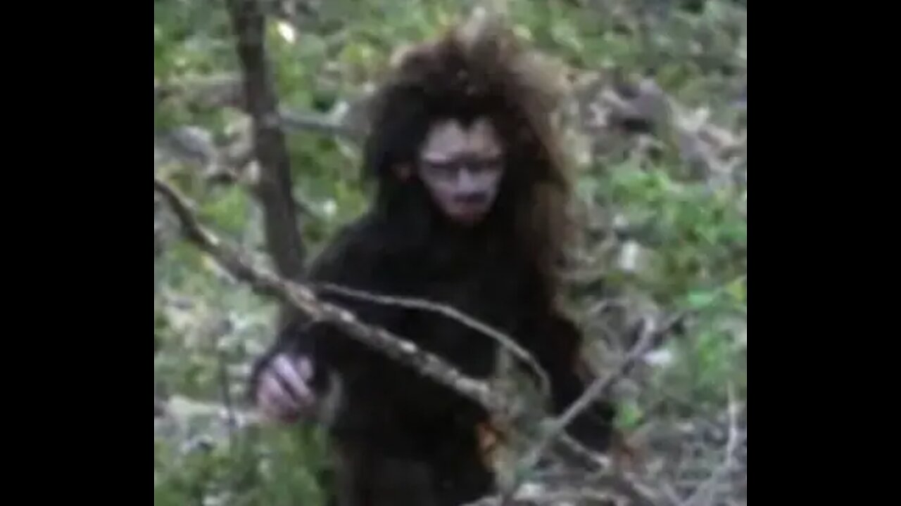 Baby Bigfoot Photo Taken Real or Hoax
