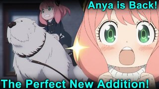 Anya is Back! With Pupper! - Spy X Family Episode 13 Impressions!