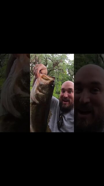 Kayak fishing the Orange River for topwater Largemouth!