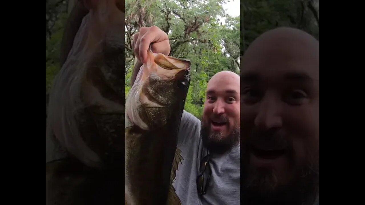 Kayak fishing the Orange River for topwater Largemouth!