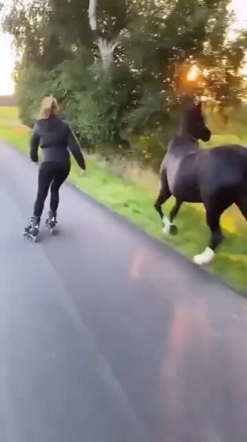 Girl, her horse, her dog and sunset