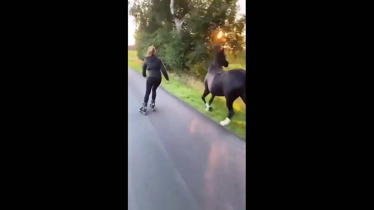 Girl, her horse, her dog and sunset