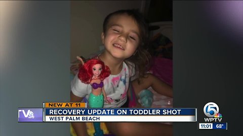 Recovery update on 3-year-old girl who was shot in road rage incident