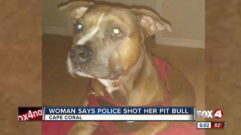 Woman Says a Deputy Shot her Pit Bull