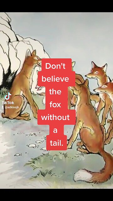 Fox Who Lost His Tail - real life example