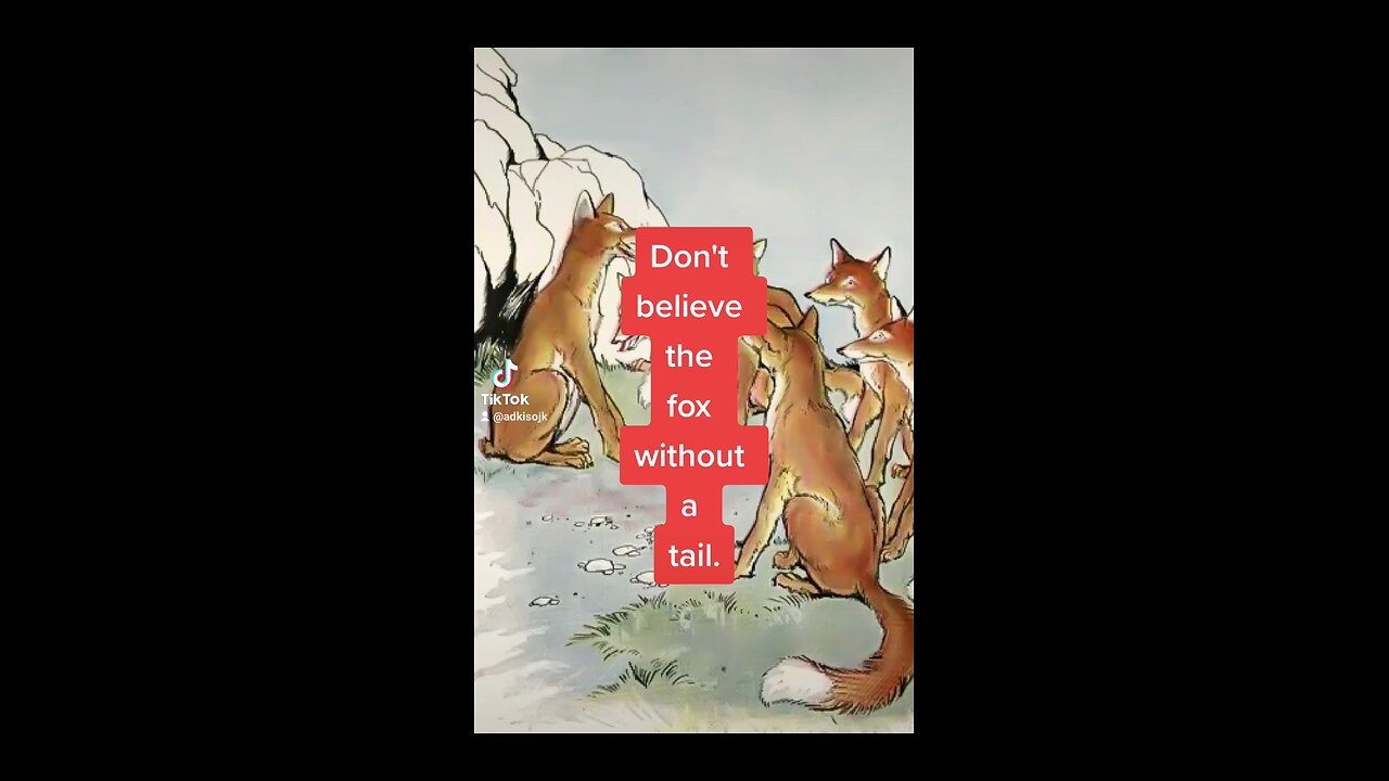 Fox Who Lost His Tail - real life example