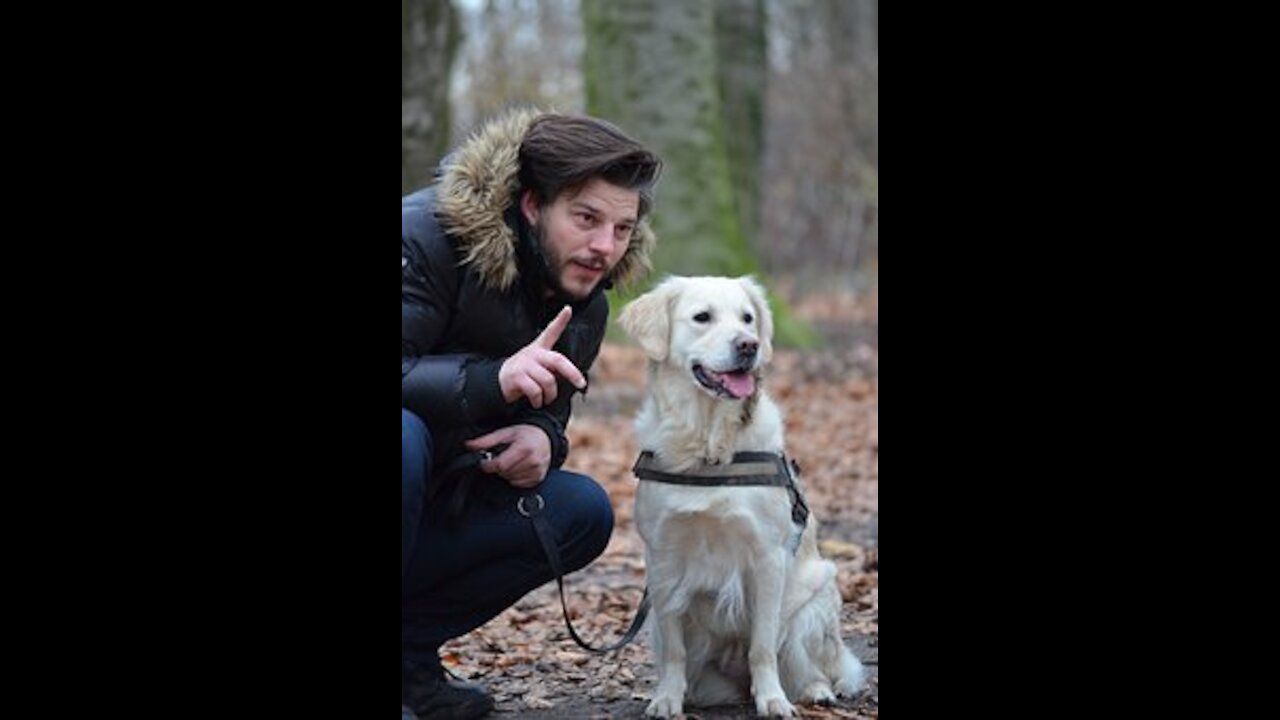 The boy and the dog