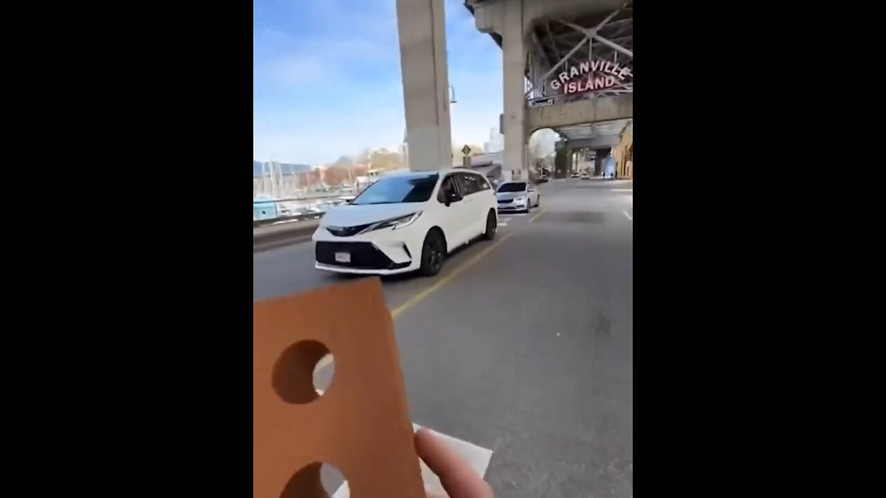 This is the most creative way to cross a busy street