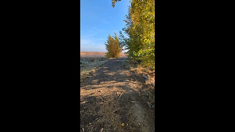 How to enjoy the colors of fall in bittern marsh trail