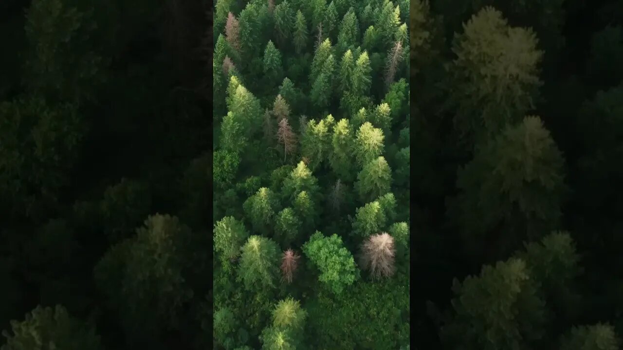 Enjoy Relaxing Sleep Music for Stress Relief! The LINK to my new video is BELOW