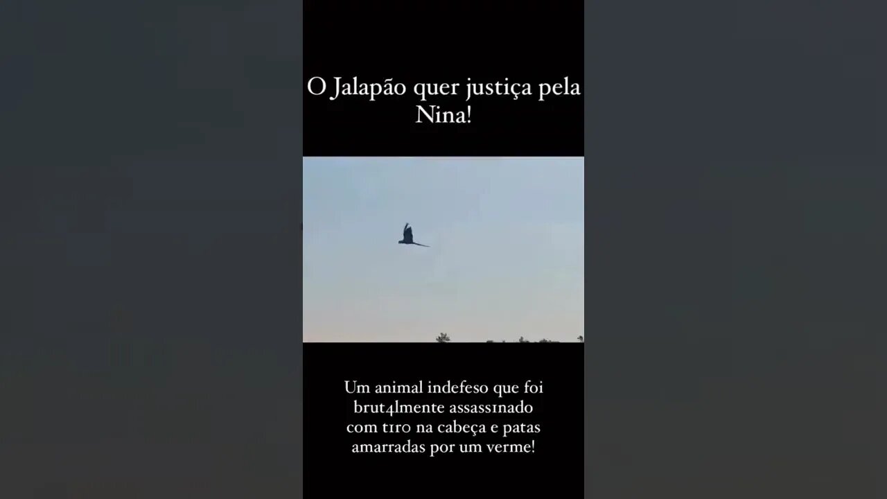 ADEUS NINA
