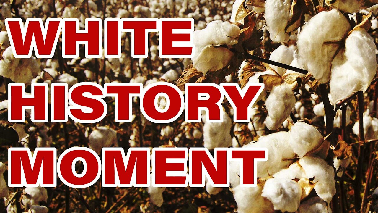 JLPs WHITE HISTORY MOMENTS | Was America Built on the Backs of Slaves?