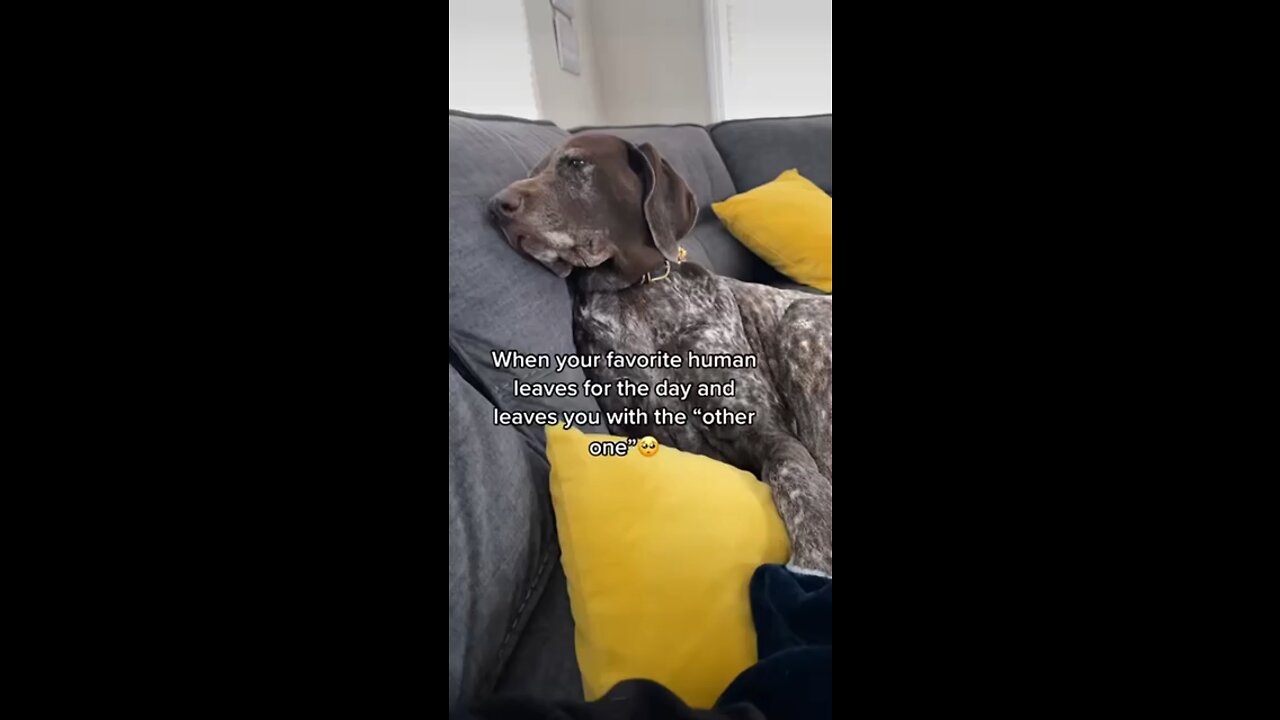 Sad eyes