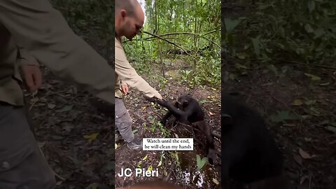 When You Show Kindness To Nature…