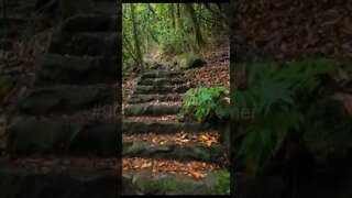 #90's Weird Gamer #moutain #trending #nature #today #travel #forestlife #peasefulworld #shorts