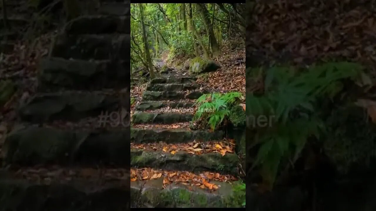 #90's Weird Gamer #moutain #trending #nature #today #travel #forestlife #peasefulworld #shorts