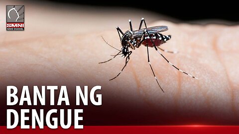 DOH, pinag-iingat ang mga estudyante sa banta ng dengue kasunod ng nalalapit na pasukan