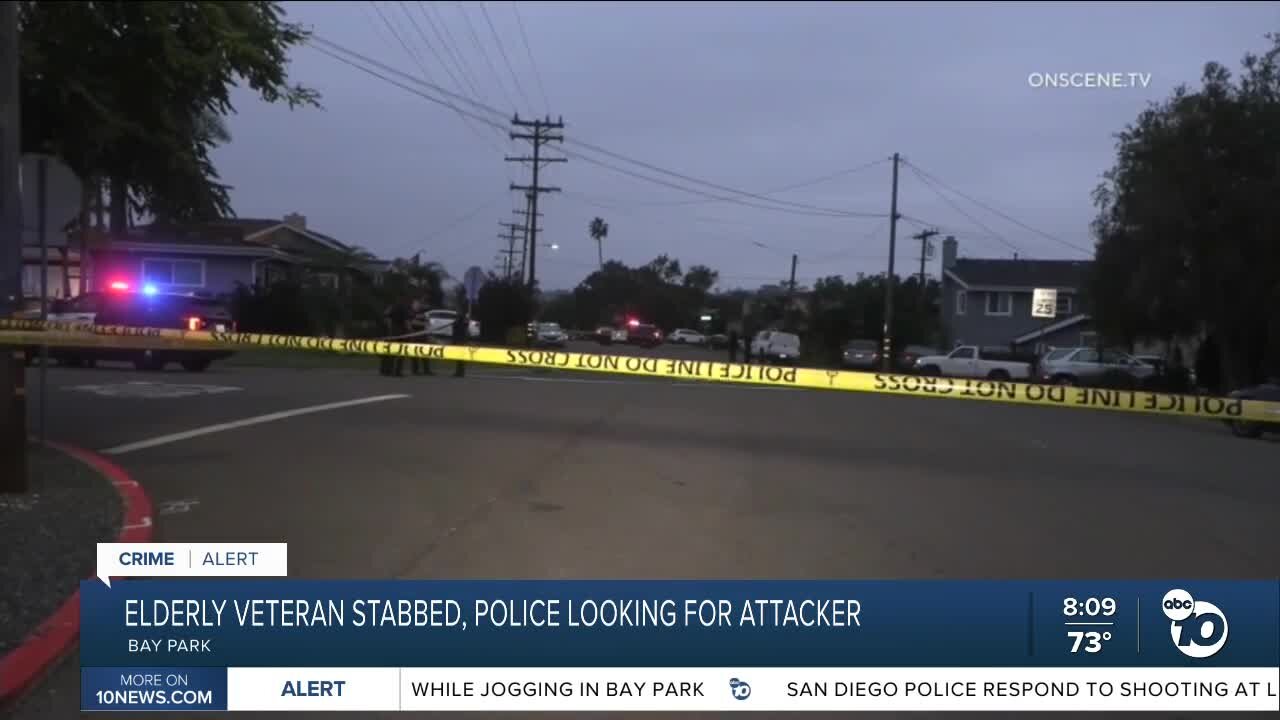 Elderly veteran stabbed while jogging in Bay Park