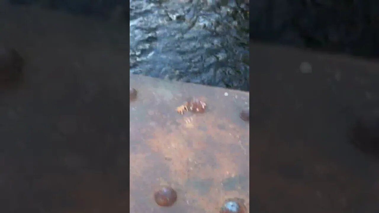 Crisp clean trash free flowing stream in the fart north. This water could be drank.
