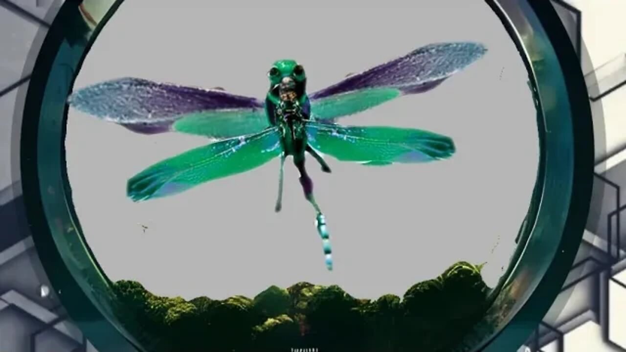 8.7.8ü$çh'§ • ĐŕæğøņFły [flight of the bumblebee]