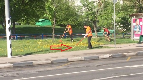 Hockey Style Landscaping