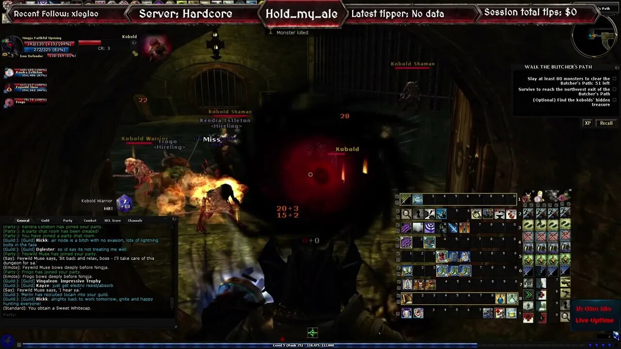 Lets Play DDO Hardcore Season 7 wHold My Ale 01 02 2023 7of13