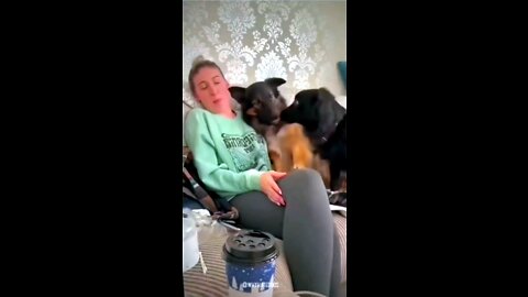 Dog Doesn't Want To Share His Mom To Anyone