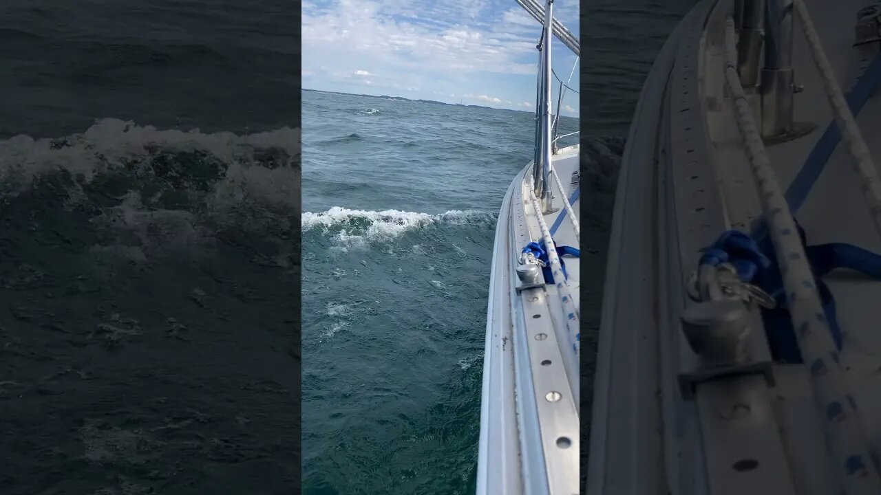 Go sailing!