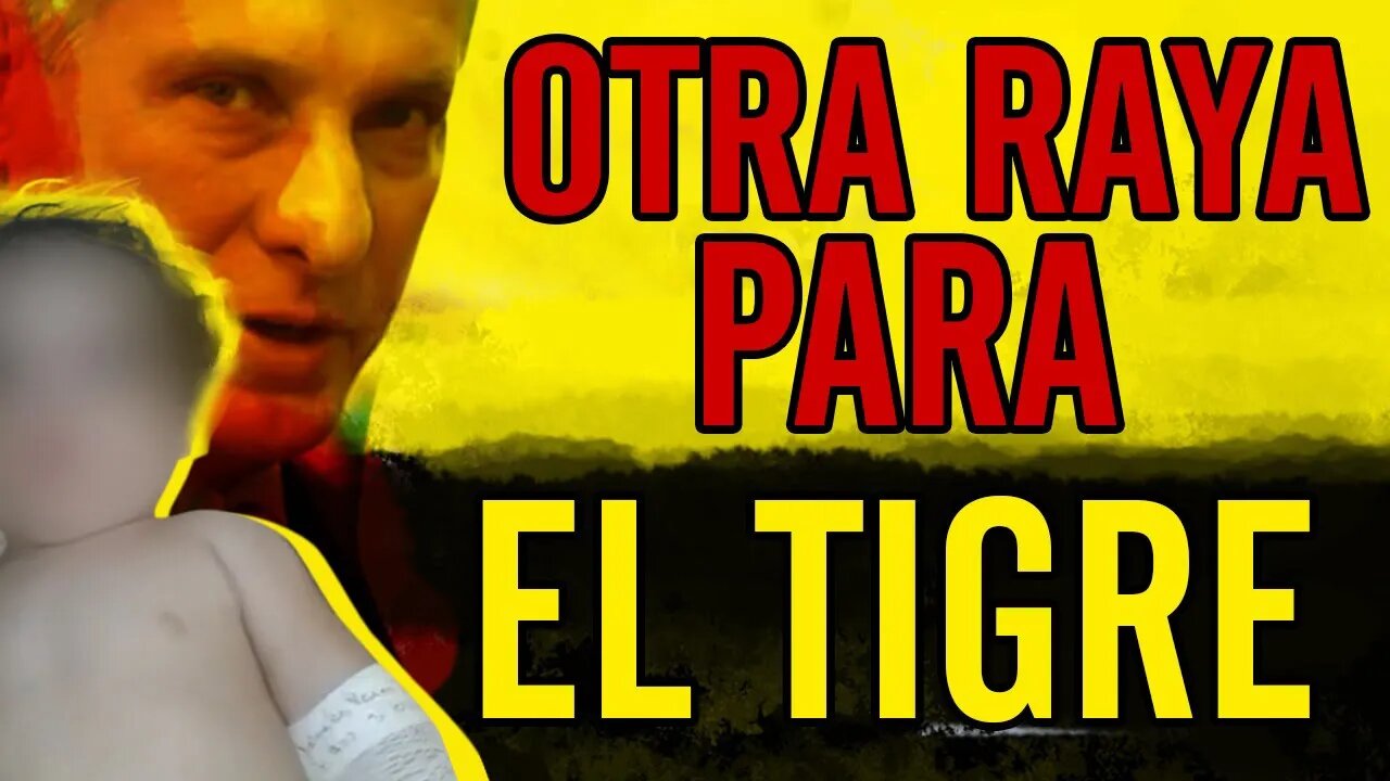 🫵Otra raya para el tigre🫵