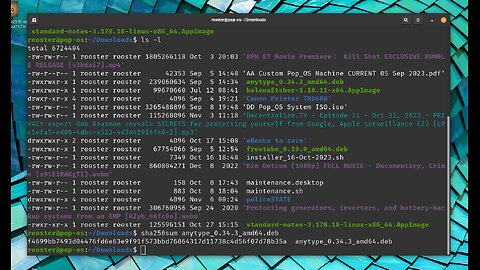 Do you even Checksum, bro? | SHA256SUM