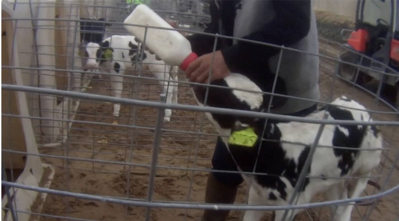 UPDATE: Farm owner apologizes for alleged animal cruelty, takes "full responsibility"