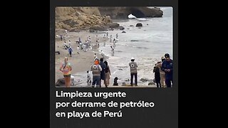 Inicia limpieza por derrame de petróleo en Lobitos, Perú