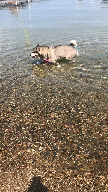 Tuesday August 13, Bring much glory and praise to God.