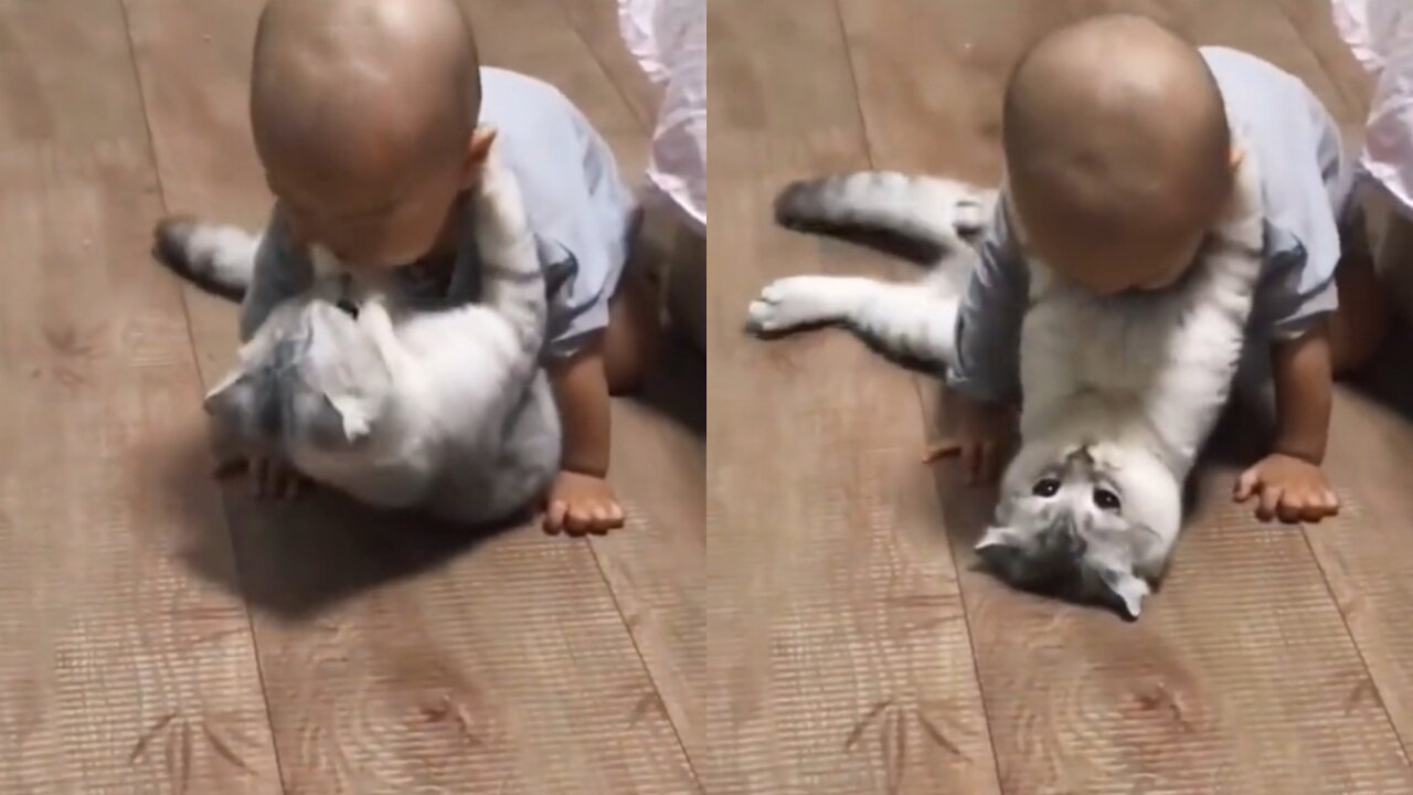 baby playing with cat to his darling