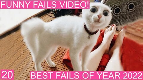 New Funny Videos 😂 Cutest People Doing Funny Things 20-2022