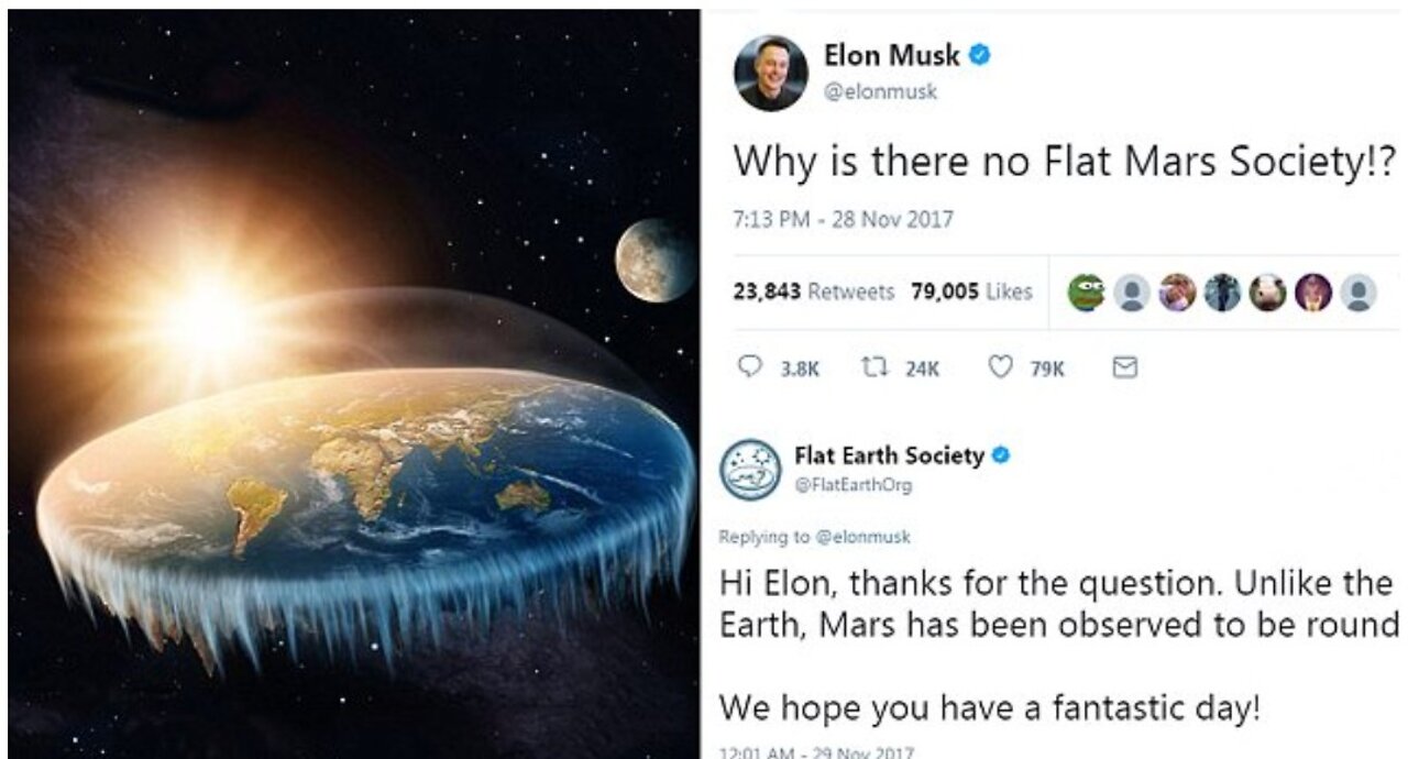 ELON MUSK DESTROY (THE FLAT EARTH SOCIETY)