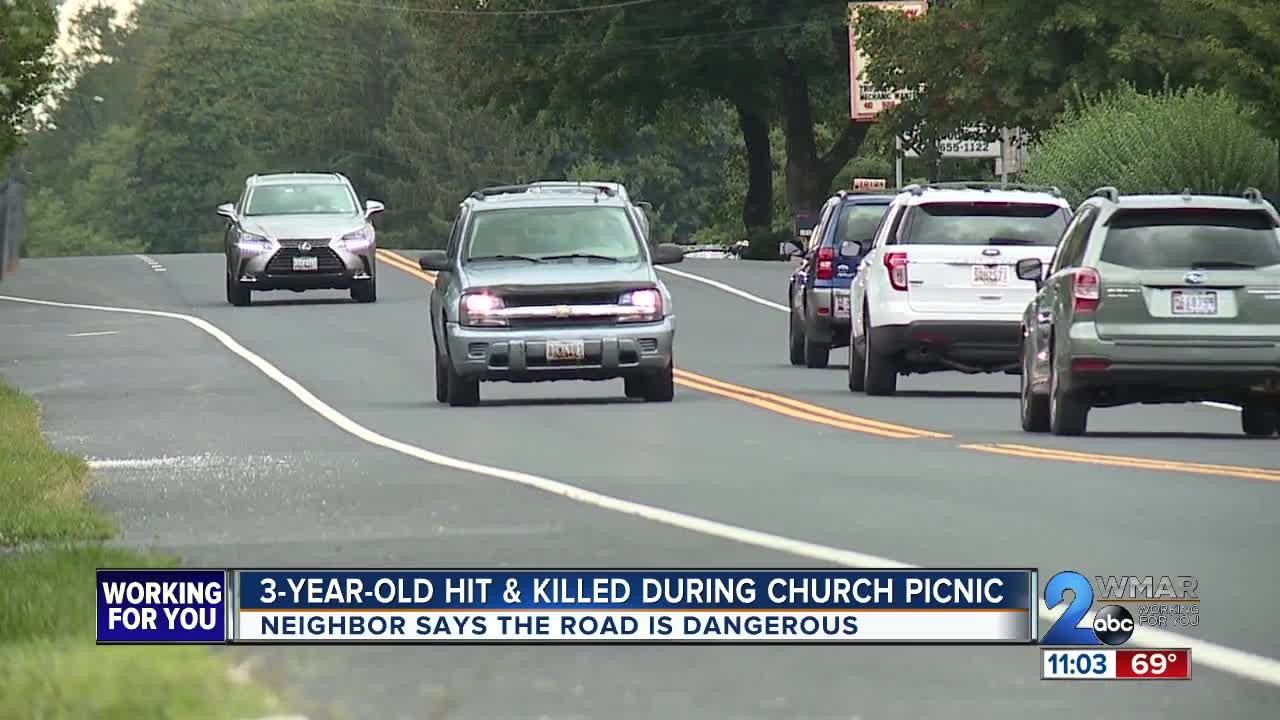 3-year-old girl struck, killed during church picnic