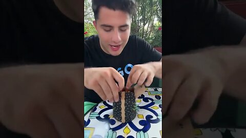 CE ITI CUMPERI DE 45 DE LEI DE LA SHAORMERIA BANEASA #oguritamica #mancare #romania #food