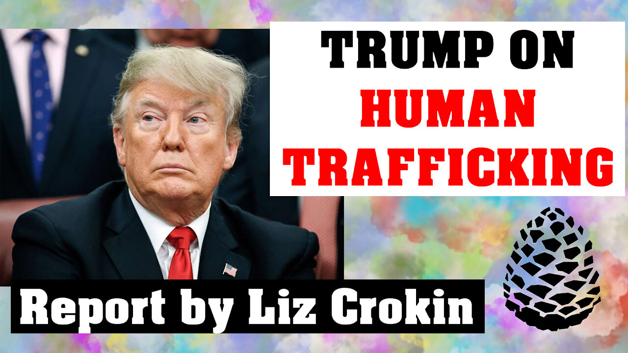 Human Trafficking and What Trump has Done to Combat it. Report by Liz Crokin, Pinecone