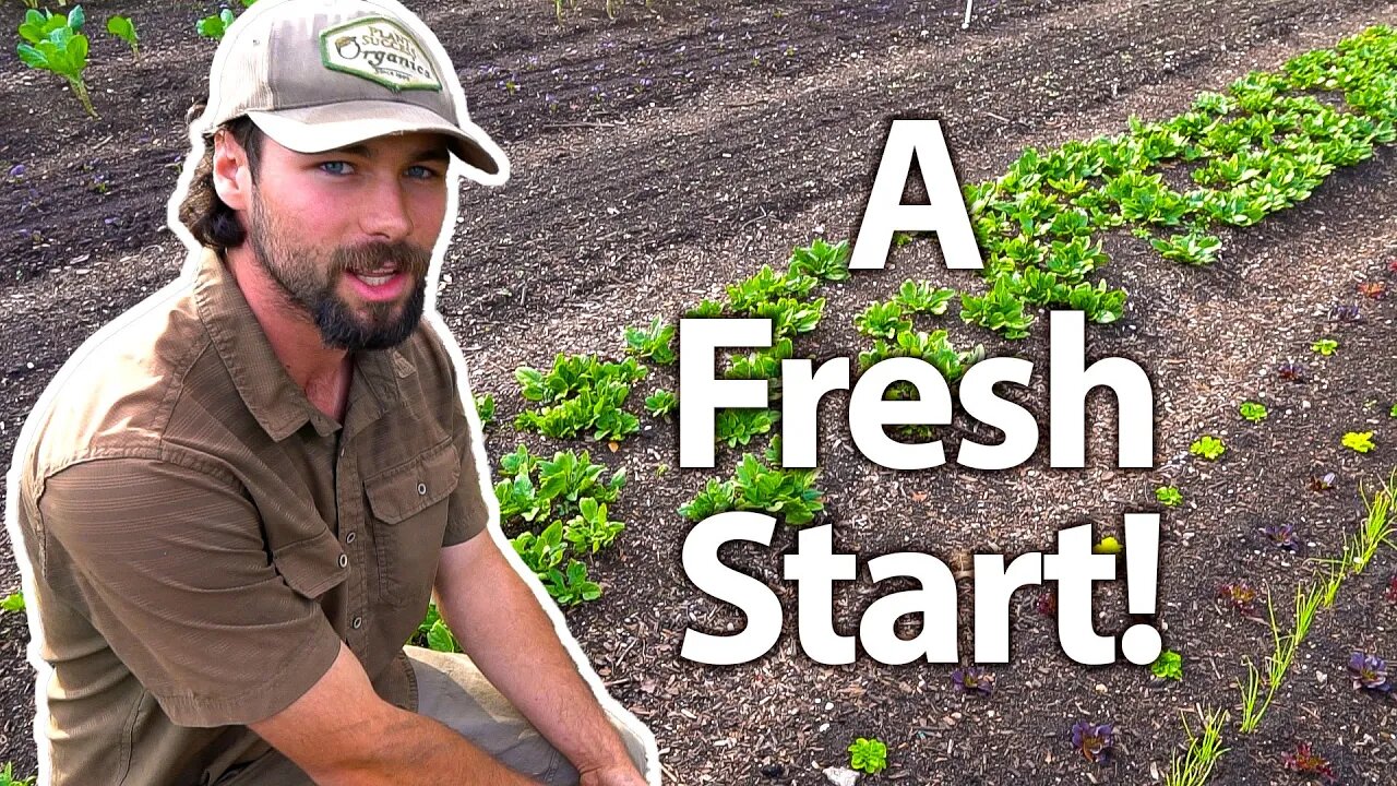 Starting Over Post-Freeze Damage in The Market Garden 🌱🥕