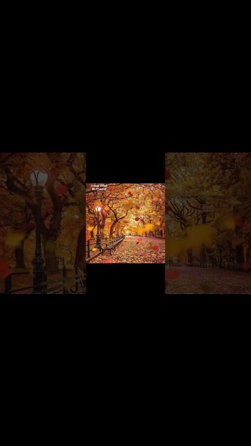 #relaxing #park #autumn #autumnleaves #picoftheday