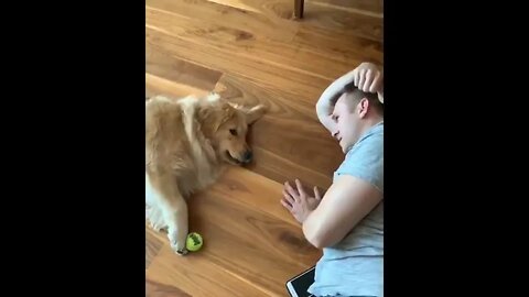 Too hot to play fetch outside