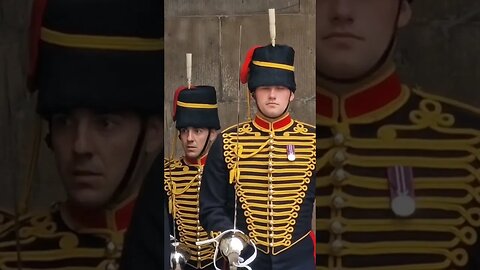 Inspection before change over #horseguardsparade