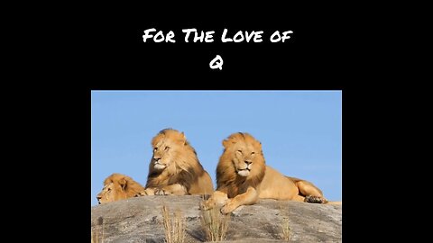 FOR THE LOVE OF Q > THE GREAT AWAKENING