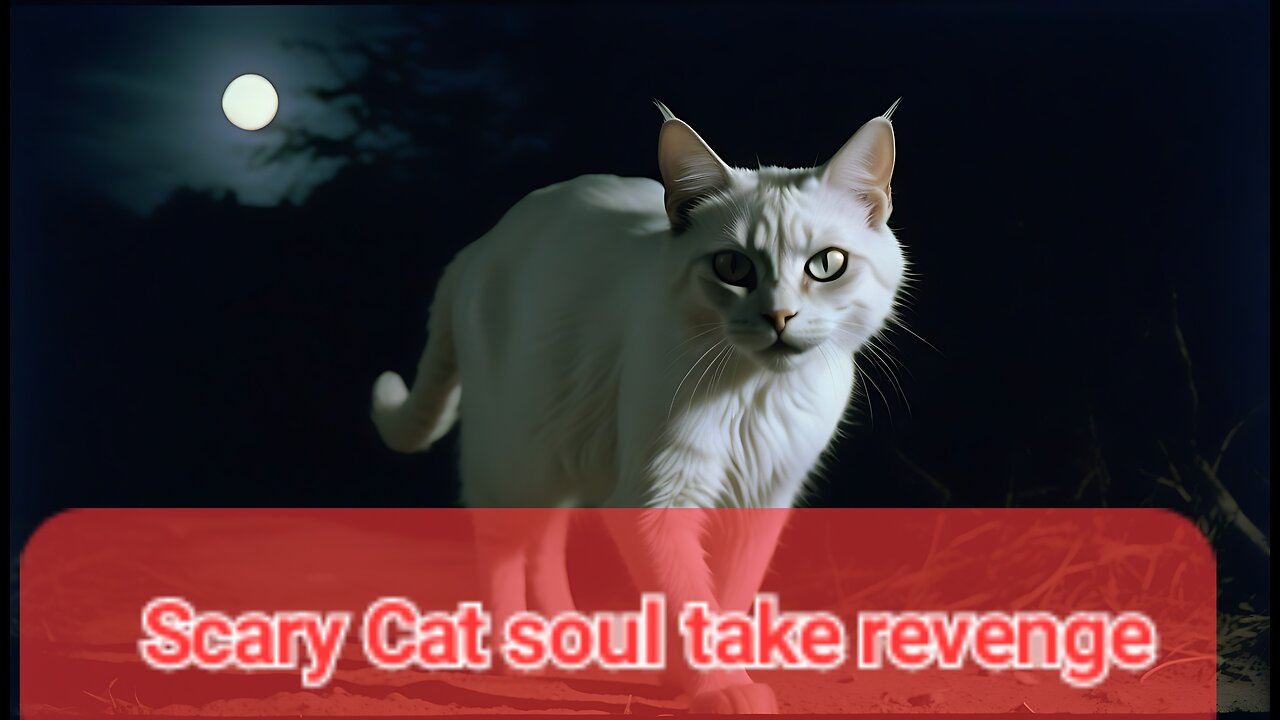 CAT SOUL TAKING HIS REVANGE WITH A FAMILY OF us