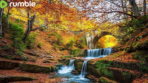 Nature sounds to relax, meditate and sleep