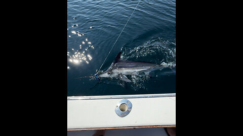 FDNY Brothers Catch & Release White Marlin Aboard The Montauk Downeast Fishing Boat “Mary Alice”
