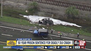 Woman sentenced to 50 years in prison for 2017 fatal hit-and-run crash on Selmon Expressway