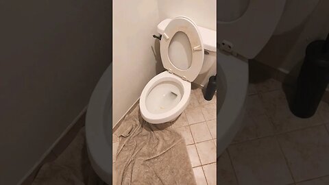 ATTEMPTING TO SUMMON SKIBIDI TOILET: TRIAL 2